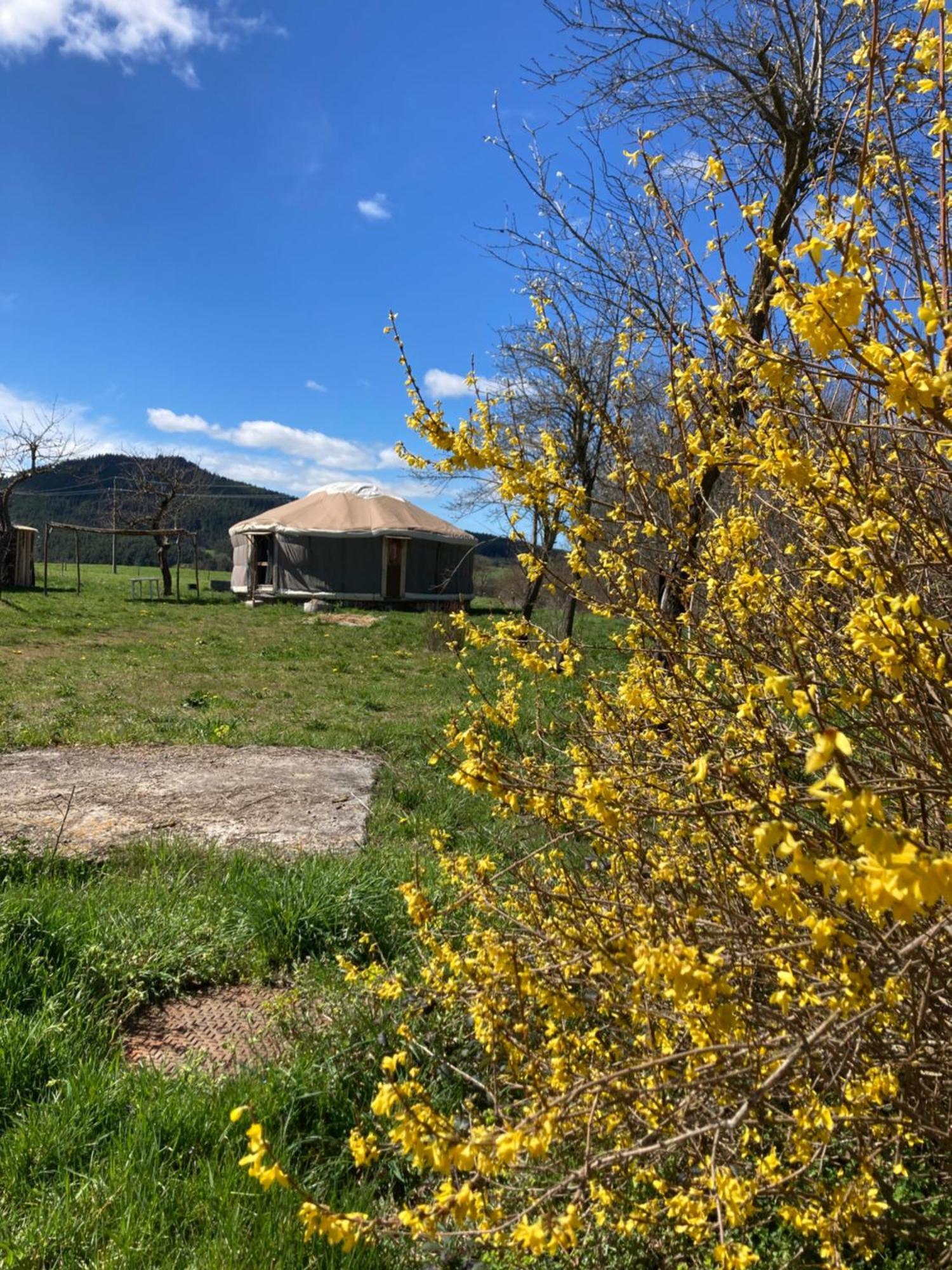 Yourte Confort Eco-responsable Luxury tent Saint-Pierre-Eynac